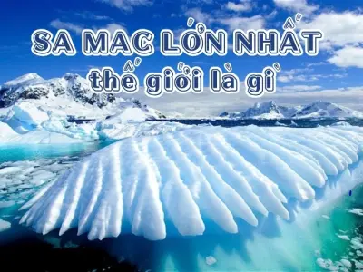 Giải mã câu hỏi - Sa mạc lớn nhất thế giới là gì?