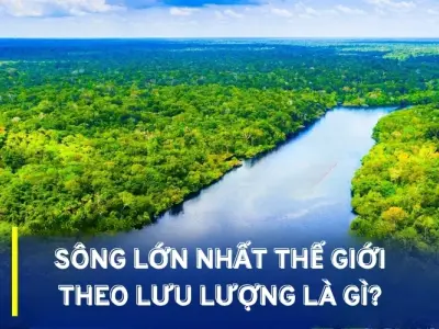 Vì sao sông Amazon có lưu lượng lớn nhất thế giới?
