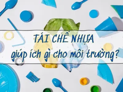 Tái chế nhựa giúp ích gì cho môi trường? Lợi ích không ngờ!