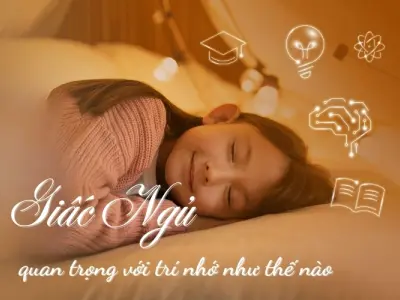 Giấc ngủ có vai trò gì đối với trí nhớ của bạn?