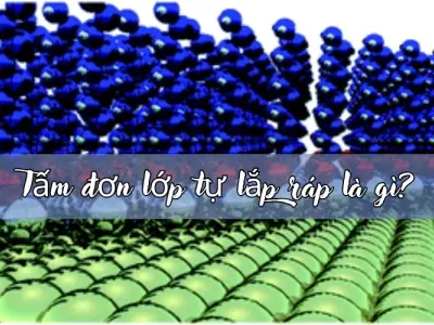 Tấm đơn lớp tự lắp ráp là gì và ứng dụng ra sao?
