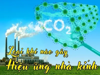 Khí gây hiệu ứng nhà kính có từ đâu và tác hại gì?