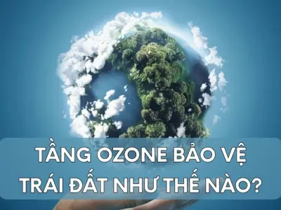 Tầng ozone có vai trò gì trong việc bảo vệ Trái Đất?