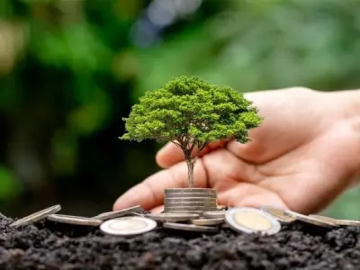 Năng lượng tái tạo chưa thay thế nhiên liệu hóa thạch?