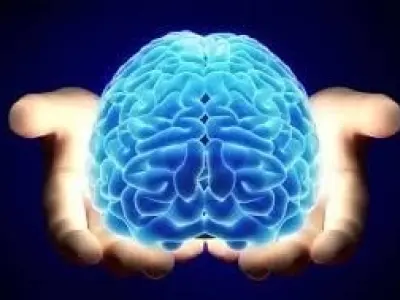 Cơ quan điều khiển mọi hoạt động của cơ thể là gì?