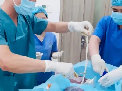Công nghệ cấy ghép hiện đại mở ra kỷ nguyên y học mới
