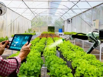 Công nghệ nông nghiệp Việt Nam thay đổi sản xuất ra sao
