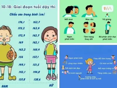 Dấu hiệu sinh học nào thể hiện rõ tuổi dậy thì?