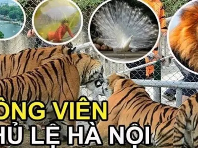 Công viên Thủ Lệ – Thiên đường vui chơi xanh giữa Hà Nội
