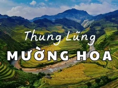 Thung lũng Mường Hoa – Vẻ đẹp hoang sơ giữa núi rừng Sapa
