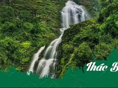 Thác Bạc – Kỳ quan thiên nhiên hùng vĩ giữa núi rừng Sapa