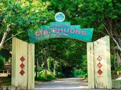 Vườn Quốc gia Cúc Phương - Điểm đến xanh hút hồn du khách