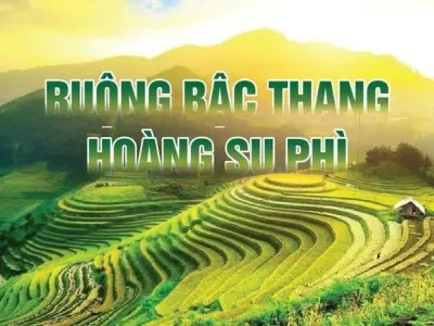 Ruộng bậc thang Hoàng Su Phì – Điểm đến mùa vàng rực rỡ