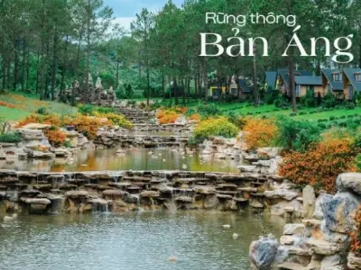 Rừng thông bản Áng – Vẻ đẹp hoang sơ giữa núi rừng Tây Bắc