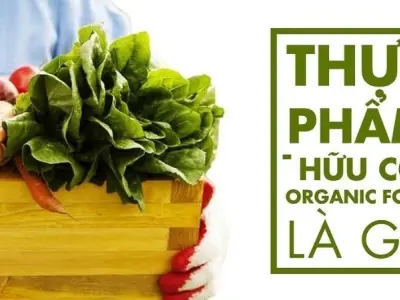 Làm thế nào để chọn thực phẩm hữu cơ đúng cách?