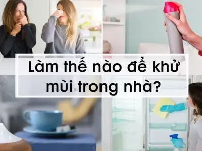 Làm thế nào để khử mùi trong nhà nhanh chóng, dễ thực hiện?