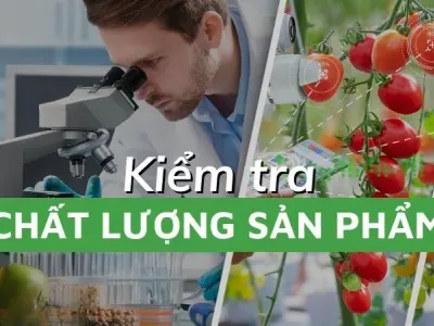 Làm thế nào để kiểm tra chất lượng sản phẩm trước khi mua?