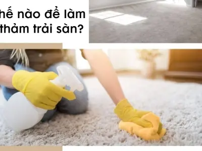 Làm thế nào để làm sạch thảm trải sàn hiệu quả tại nhà?