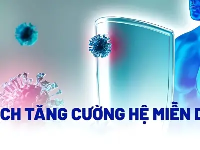 Làm thế nào để tăng cường hệ miễn dịch tự nhiên hiệu quả