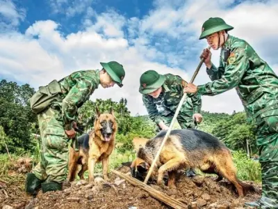 Loài động vật nào được huấn luyện để cứu hộ người gặp nạn