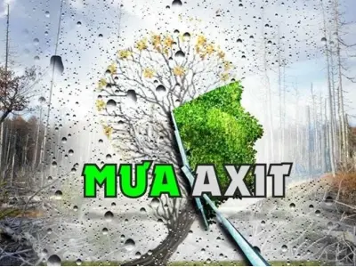 Mưa axit hình thành do khí thải nào gây ra?