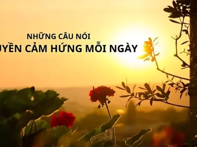Những câu nói truyền cảm hứng mỗi ngày giúp bạn thành công