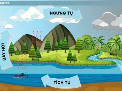 Khám phá quá trình nước chuyển thành hơi gọi là gì?