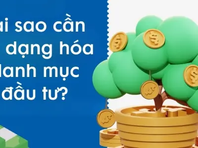 Tại sao cần đa dạng hóa danh mục đầu tư sinh lời?