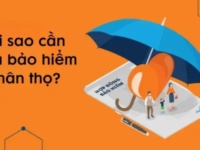 Tại sao cần mua bảo hiểm nhân thọ khi còn trẻ khỏe?