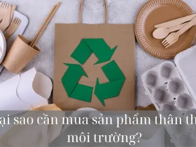 Tại sao cần mua sản phẩm thân thiện môi trường khi mua sắm?