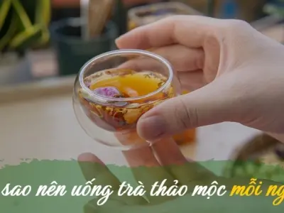Tại sao cần uống trà thảo mộc mỗi ngày để sống khỏe?