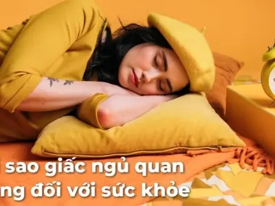 Tại sao giấc ngủ quan trọng với sức khỏe con người?