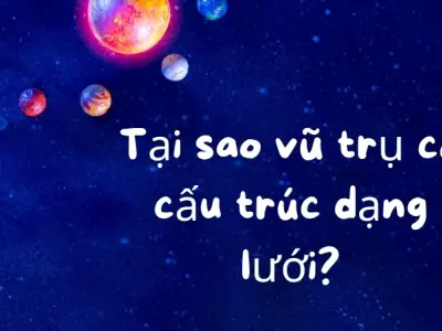 Tìm hiểu tại sao vũ trụ có cấu trúc dạng lưới phức tạp