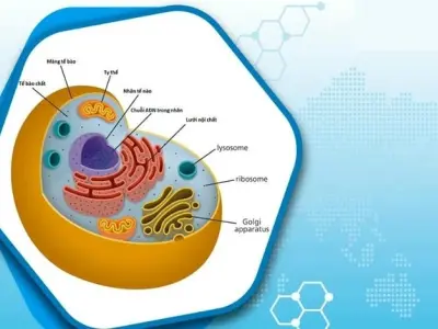 Tế bào là đơn vị cơ bản của sự sống phải không?