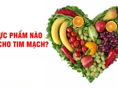 Thực phẩm nào tốt nhất cho sức khỏe tim mạch mỗi ngày?