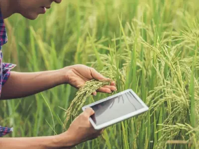Công nghệ AR trong nông nghiệp giải pháp tối ưu sản xuất