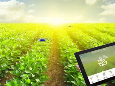 Công nghệ IoT trong nông nghiệp nâng cao hiệu quả sản xuất