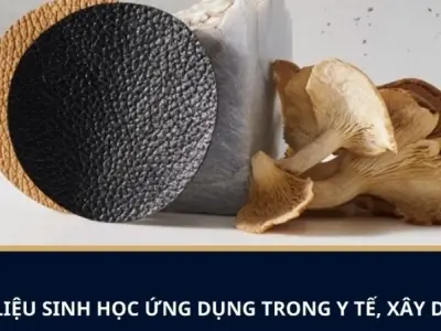 Xu hướng phát triển của vật liệu sinh học trong tương lai