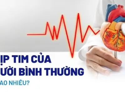 Nhịp tim nghỉ ngơi bình thường là bao nhiêu theo chuẩn y học