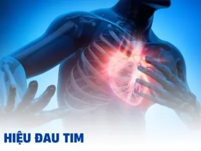 Dấu hiệu đau tim - Làm thế nào để phát hiện kịp thời?