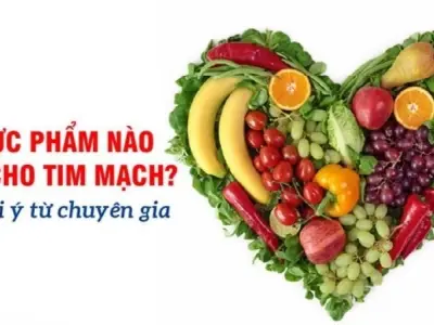Top thực phẩm tốt nhất cho sức khỏe tim mạch bạn nên biết