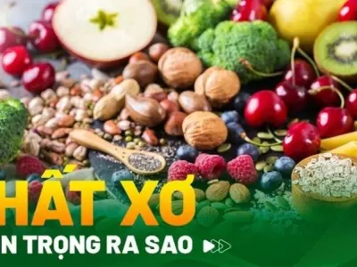 Tại sao cần bổ sung chất xơ trong chế độ ăn hàng ngày