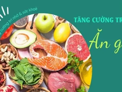Thực phẩm nào giúp tăng cường trí nhớ và sức khỏe não bộ