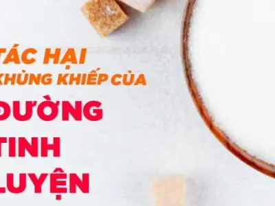 Tại sao đường tinh luyện có hại cho sức khỏe toàn diện