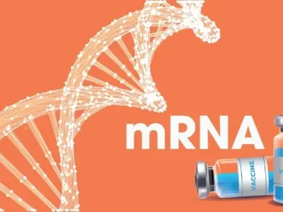 Vắc-xin mRNA có thật sự hiệu quả trong y học hiện đại?