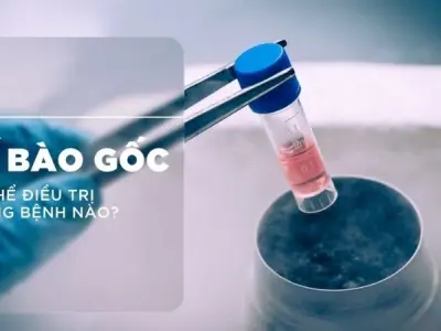 Tế bào gốc trong y học tái sinh giúp chữa lành bệnh gì