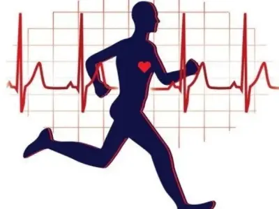 Tại sao tập thể dục có lợi cho sức khỏe tim mạch?