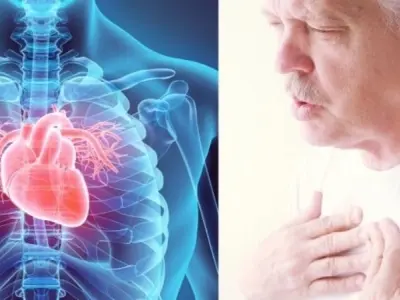 Lý do tại sao bệnh tim thường gặp ở người lớn tuổi?