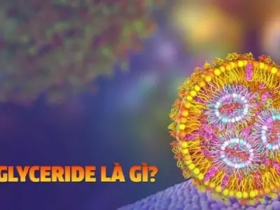 Làm sao để giảm triglyceride trong máu hiệu quả nhất?