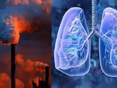 Không khí ô nhiễm ảnh hưởng đến phổi như thế nào?